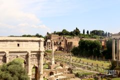 Roma - fori romani 4