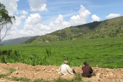 rwanda (2)