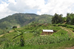 rwanda (4)