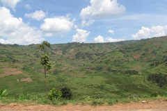 rwanda (5)