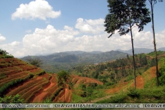 rwanda (61)