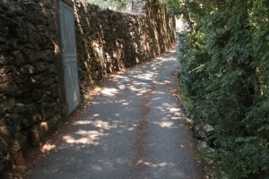 Sentiero-Chiavari-Montallegro-Rapallo-22
