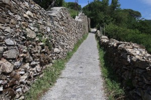 Sentiero-Chiavari-Montallegro-Rapallo-23