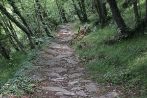 Sentiero-Chiavari-Montallegro-Rapallo-33