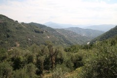 Sentiero-Chiavari-Montallegro-Rapallo-18
