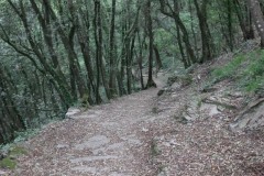 Sentiero-Chiavari-Montallegro-Rapallo-49