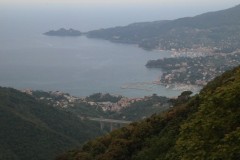 Sentiero-Chiavari-Montallegro-Rapallo-57