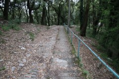Sentiero-Chiavari-Montallegro-Rapallo-75