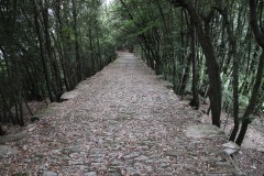 Sentiero-Chiavari-Montallegro-Rapallo-78
