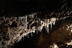 grotte-di-borgio-verezzi-33