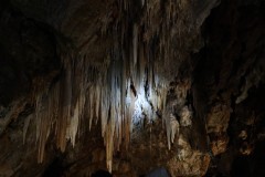 grotte-di-borgio-verezzi-41