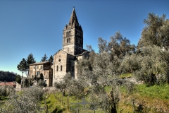 Basilica-dei-Fieschi-04