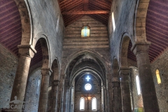 Basilica-dei-Fieschi-16