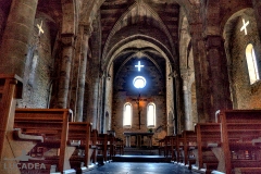 Basilica-dei-Fieschi-18