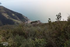 sentiero-monterosso-santuario-di-soviore-vernazza-31
