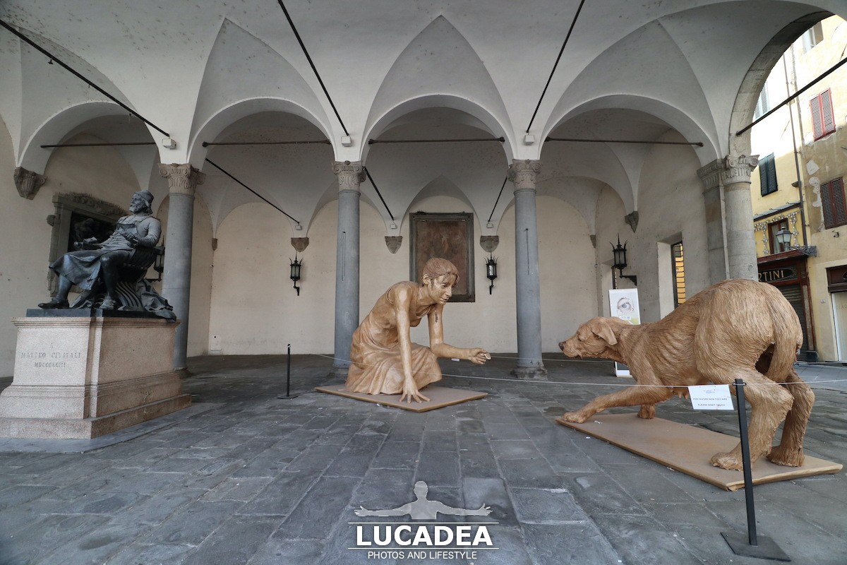 Lucca-66