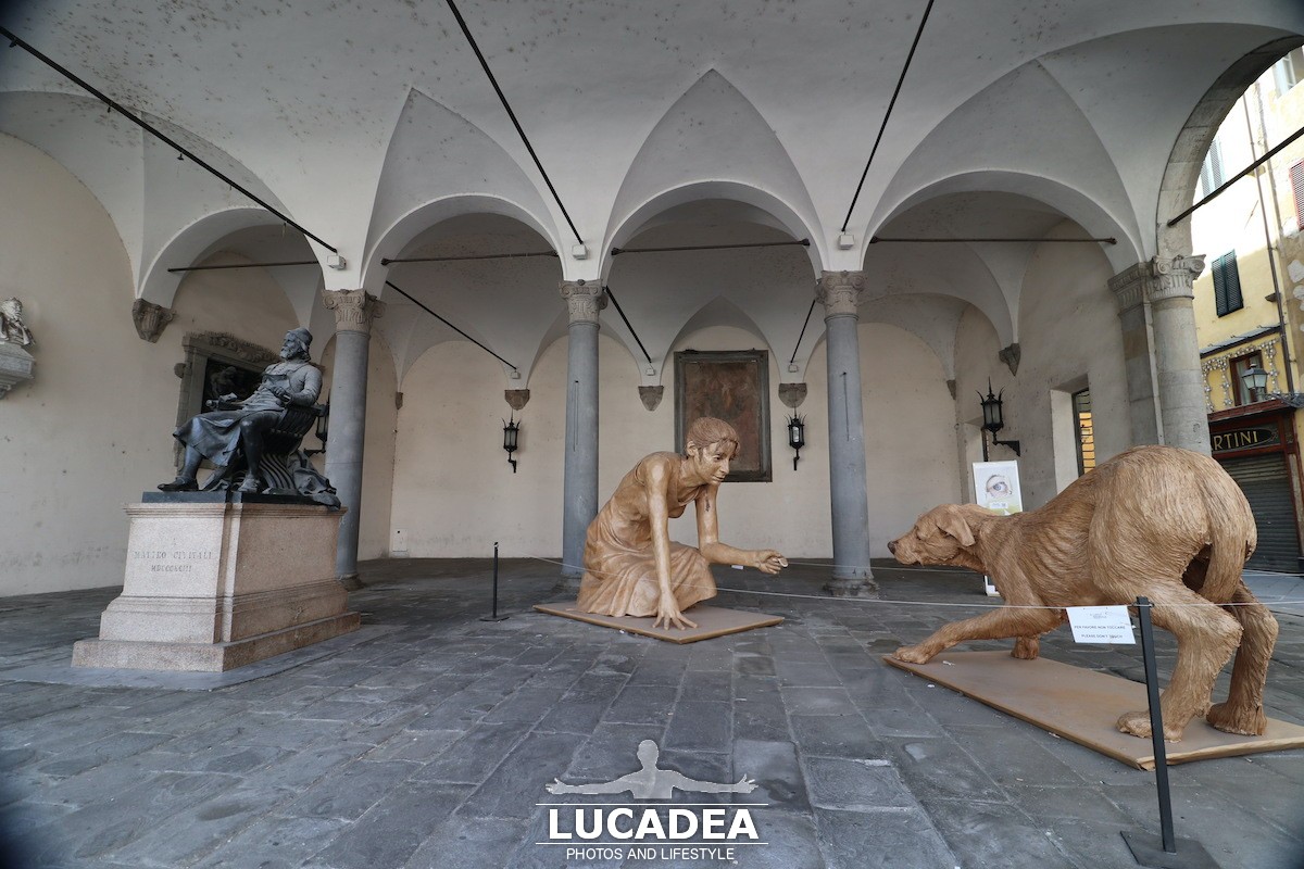 Lucca-67