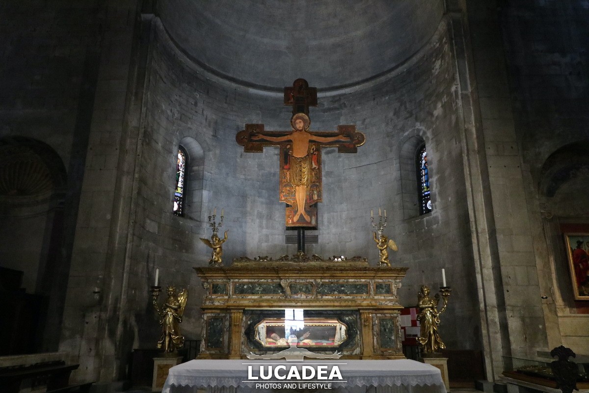 Lucca-80