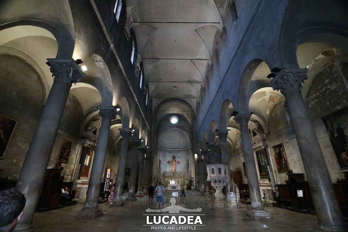 Lucca-83