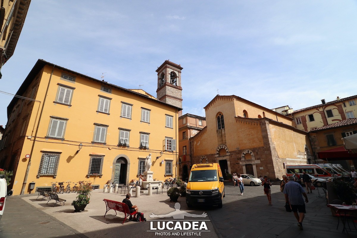 Lucca-84
