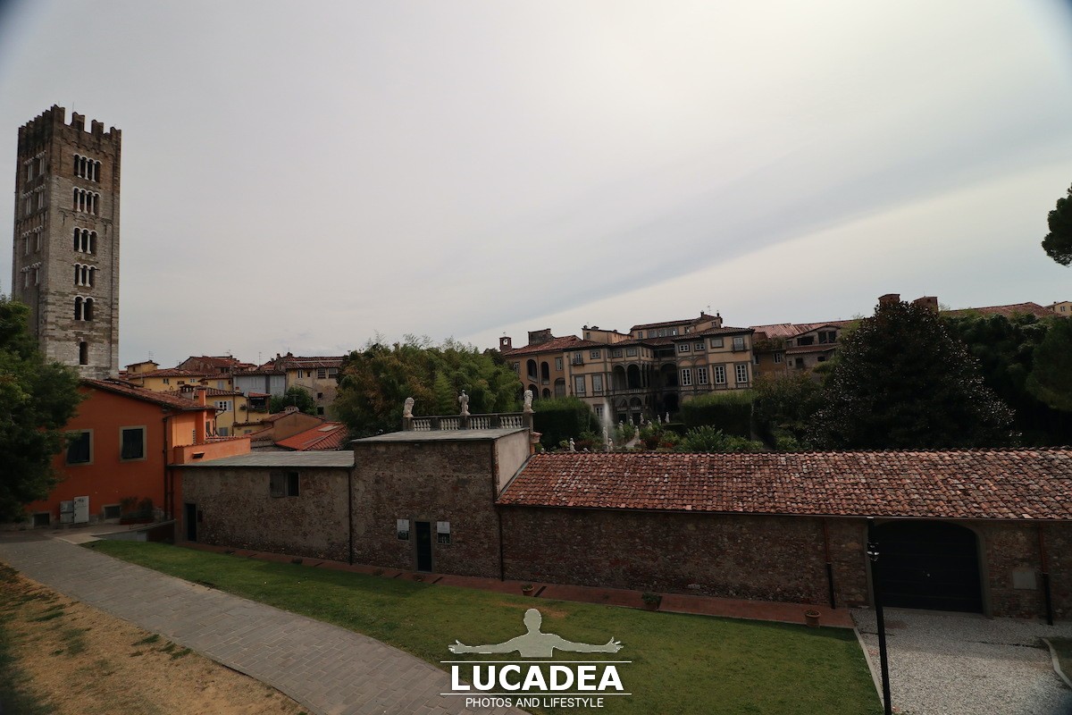 Lucca2-17