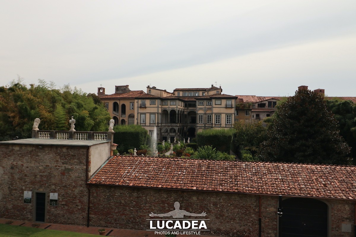 Lucca2-18