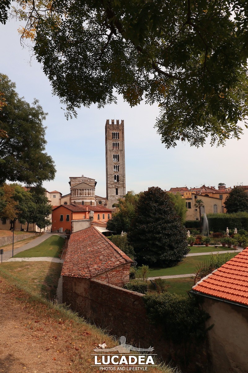 Lucca2-19