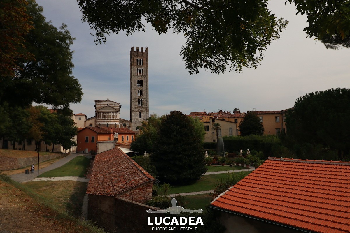 Lucca2-20