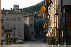 Assisi05