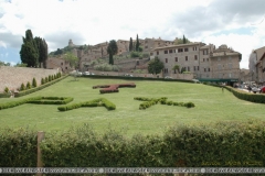 Assisi22