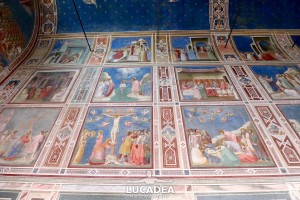 Cappella-degli-scrovegni-4
