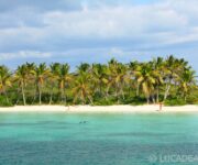 Spiagge da sogno: Isla Contoy in Messico