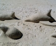 Alcuni delfini realizzati con la sabbia in spiaggia in Honduras