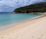 Spiagge da sogno: Hawks bay ad Antigua