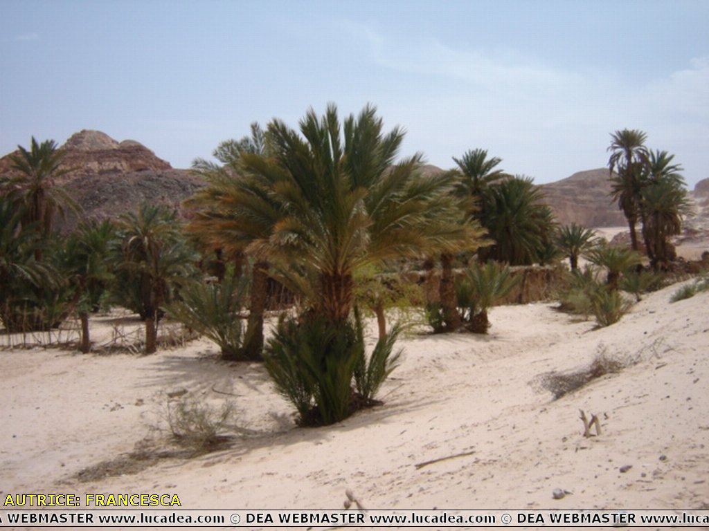 Il Deserto del Sinai in Egitto
