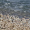 I sassolini della spiaggia di Myrtos