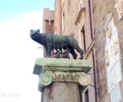 La lupa, il simbolo di Roma