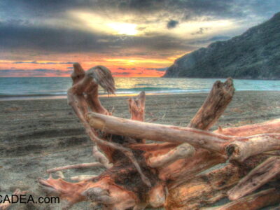 La legna sulla spiaggia di Riva Trigoso al tramonto