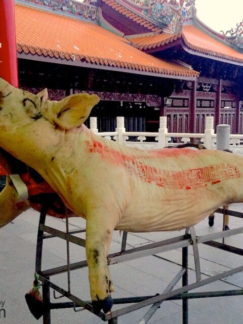 Pig in the temple