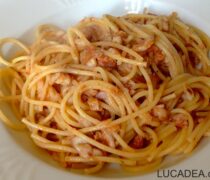 spaghetti al sugo di triglia