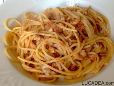 Spaghetti al sugo di triglia