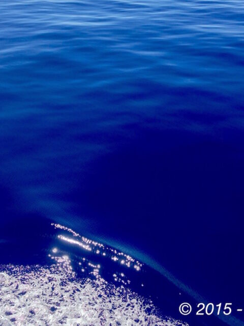 Il mare è una tavola blu