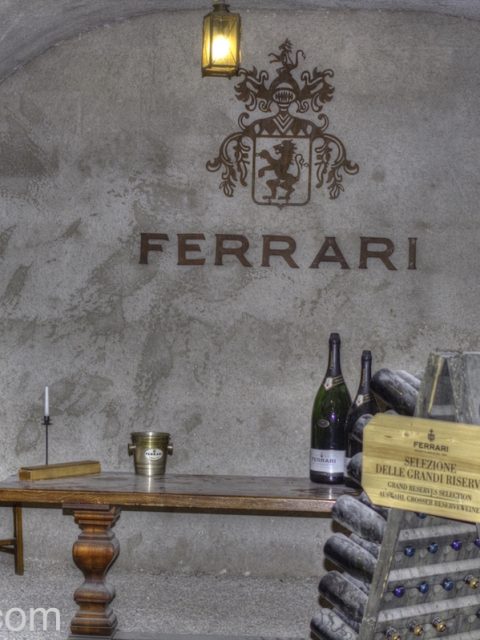 Visita alle Cantine Ferrari a Trento