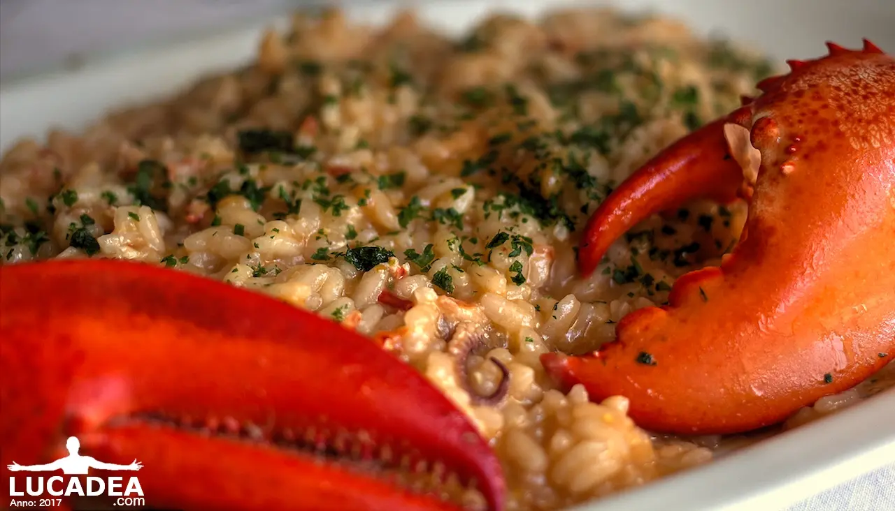 Risotto al sugo di astice e calamari macro