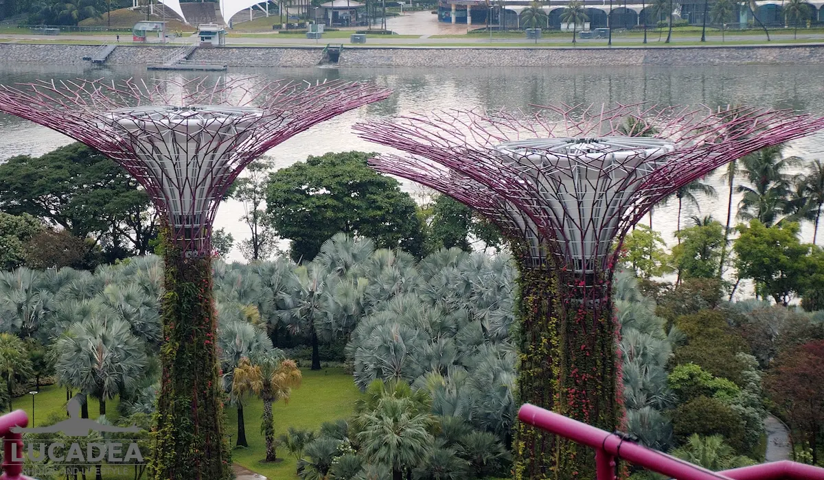 Supertree a Singapore