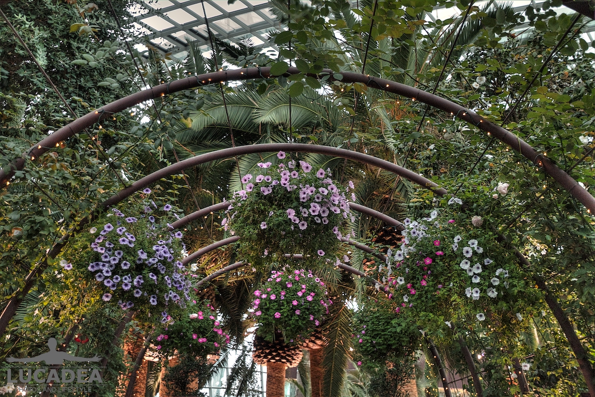 Flower Dome a Singapore