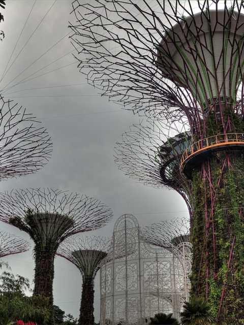 I super alberi di Singapore