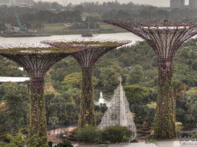 I super alberi di Singapore