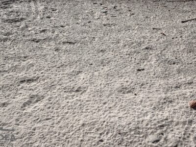 Impronte di piccioni sulla sabbia