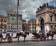 I molti cavalli presenti nella città di Palermo